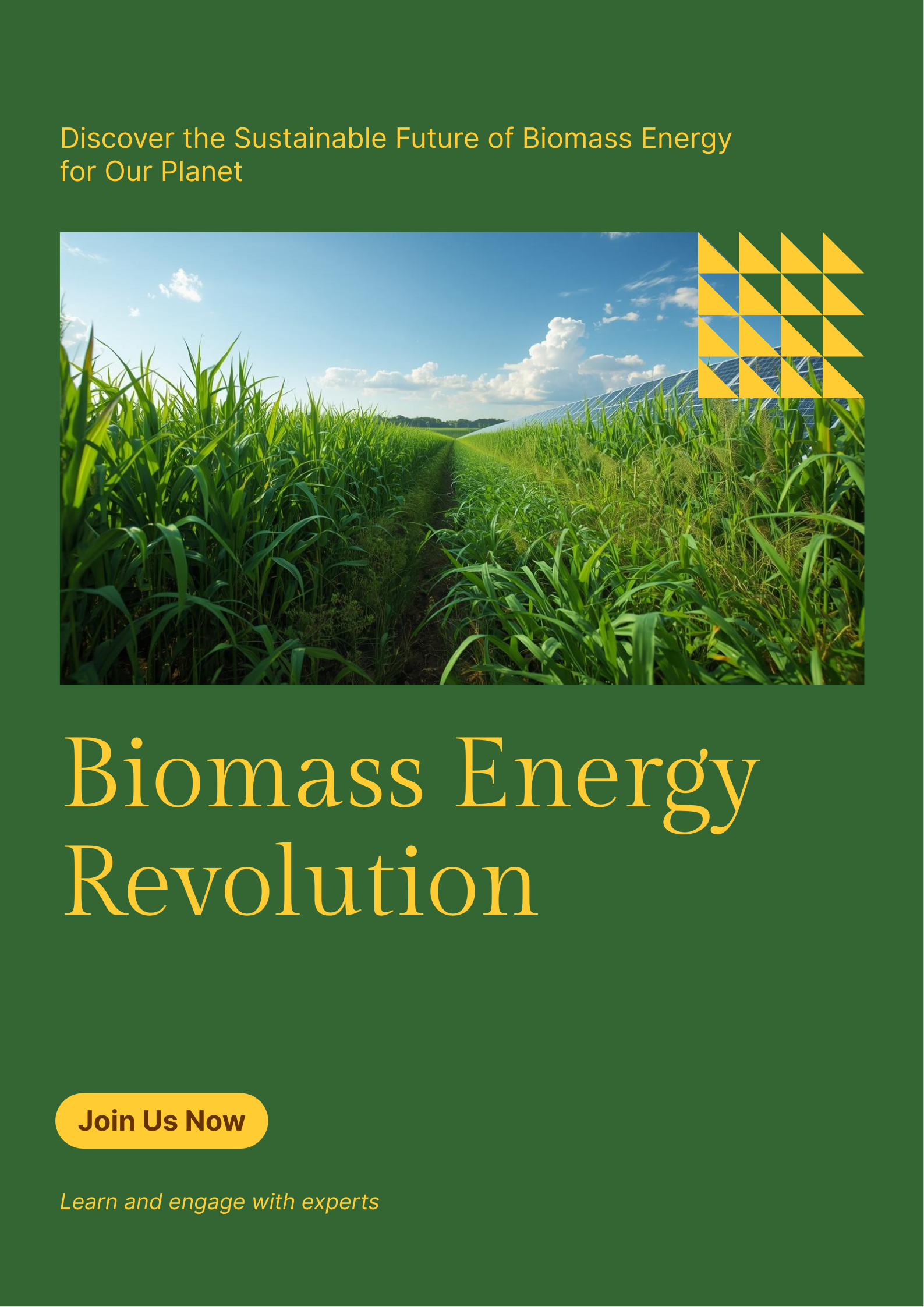 Poster - Biomass Energy Revolution